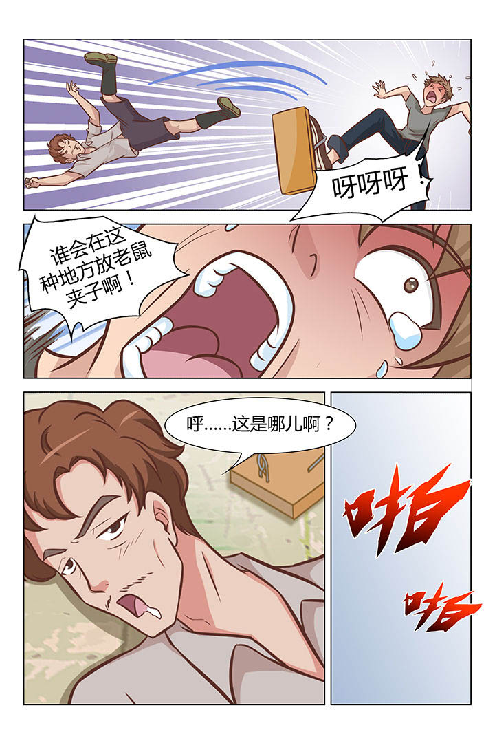 5.jpg