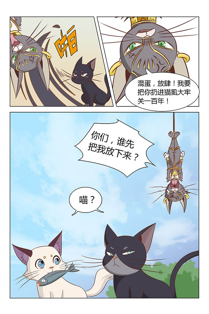 7.jpg