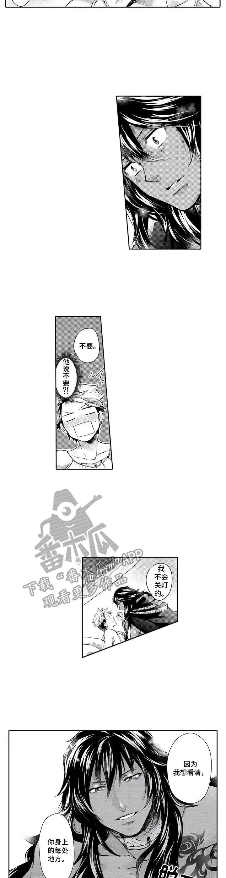 5.jpg