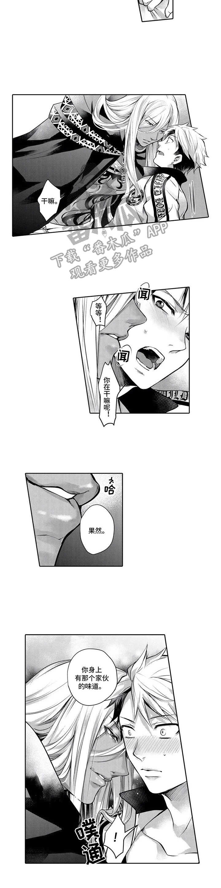 3.jpg