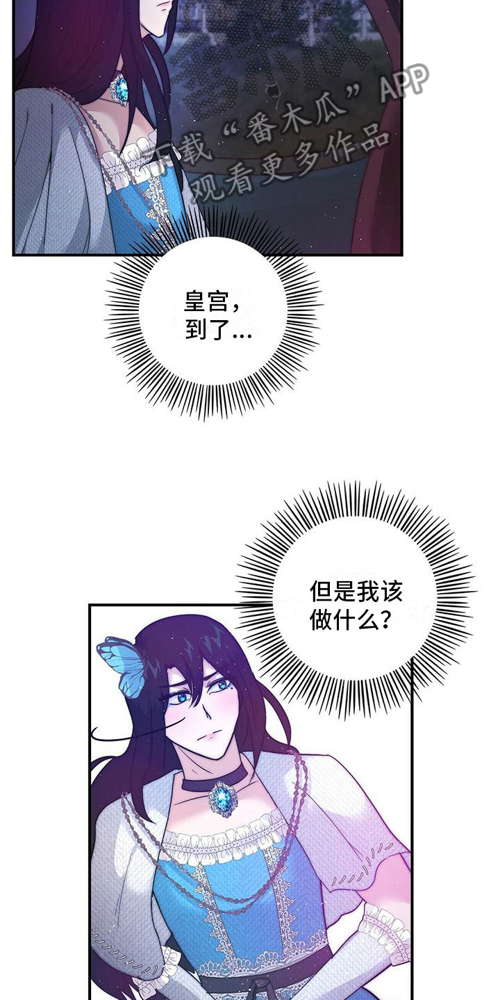 20.jpg