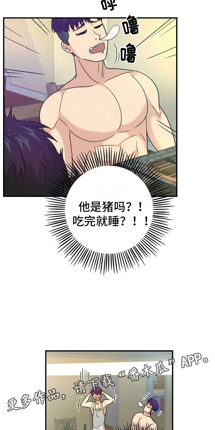 19.jpg