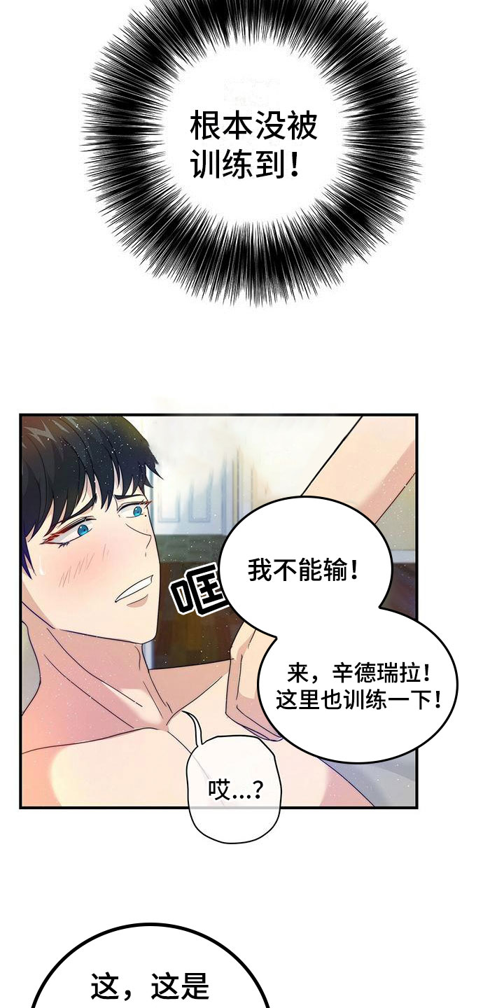 17.jpg