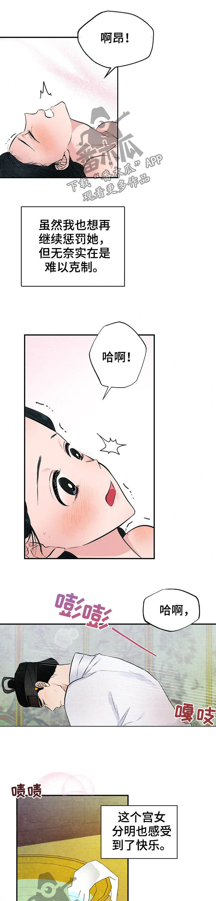 6.jpg