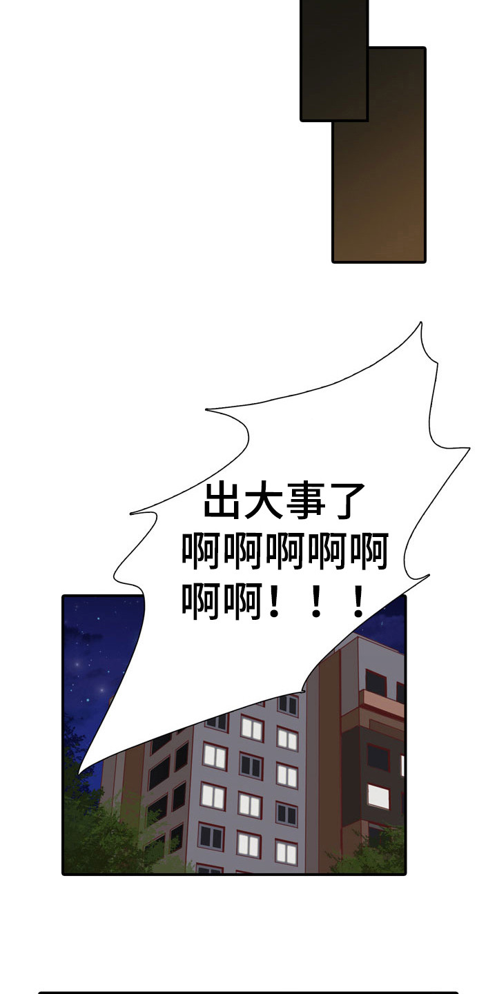 13.jpg