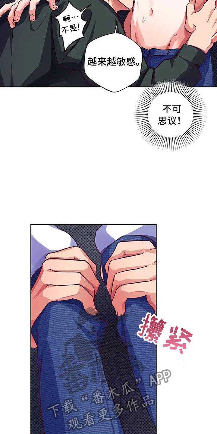16.jpg