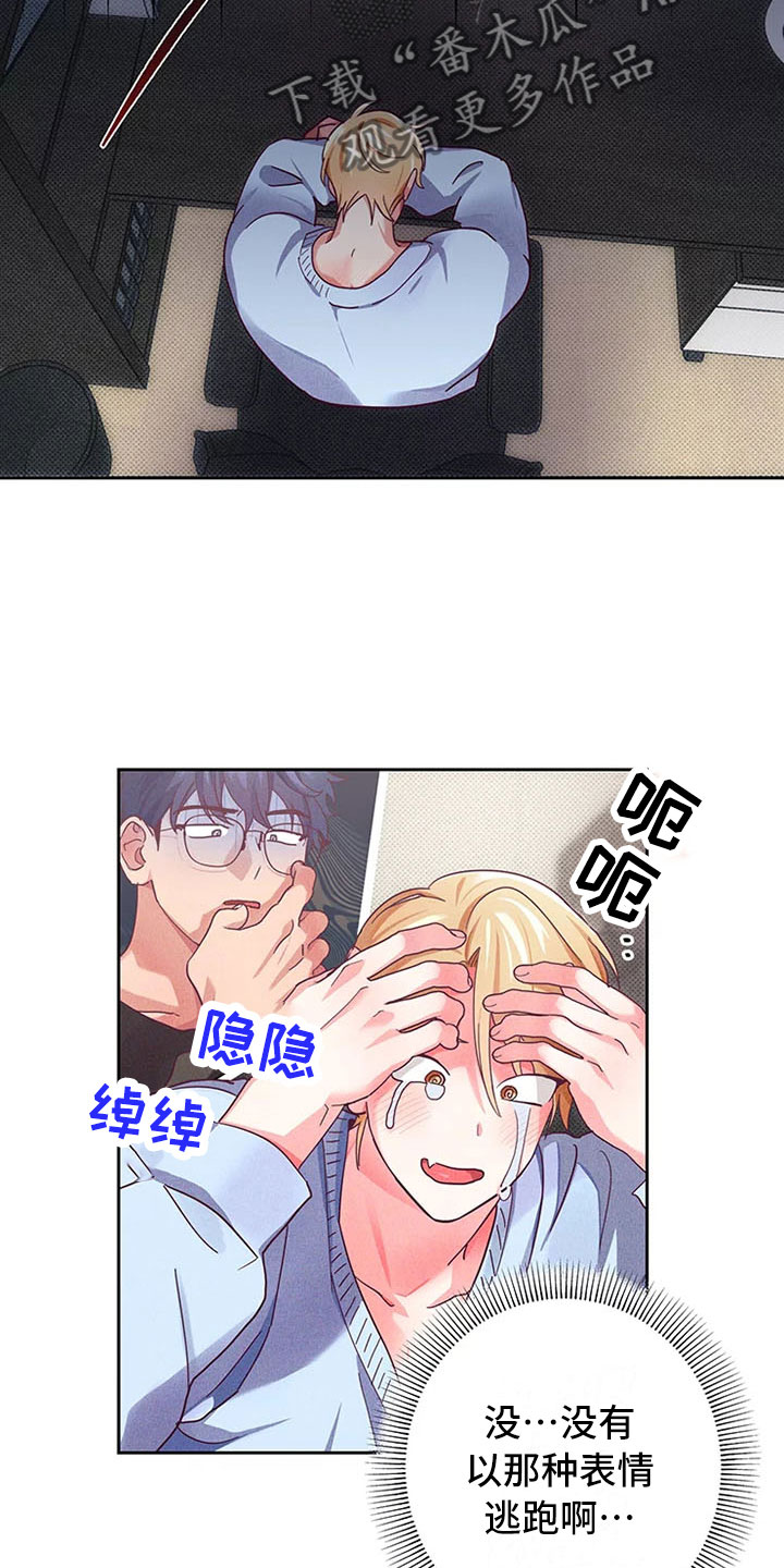 13.jpg