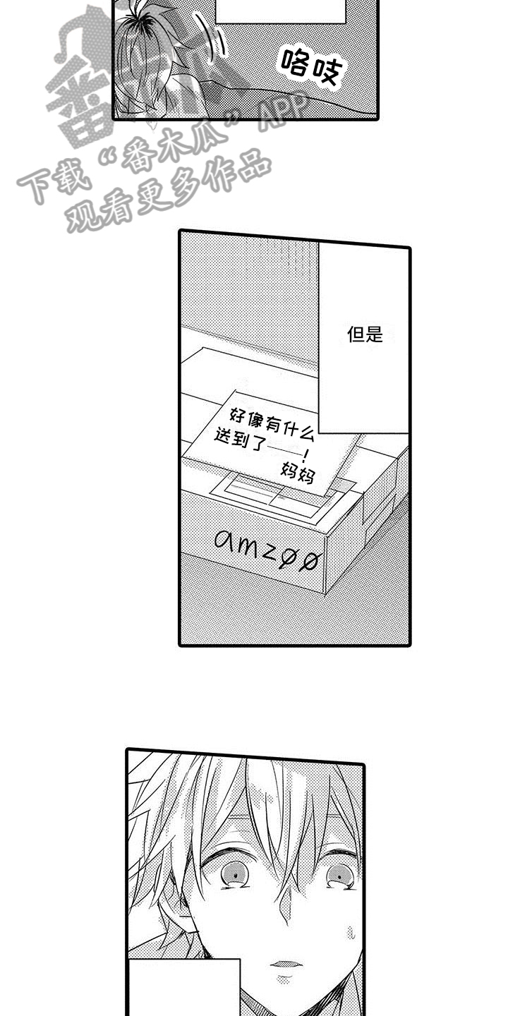 6.jpg