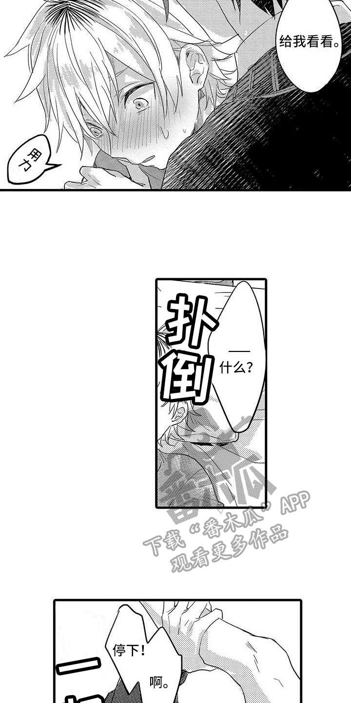 6.jpg