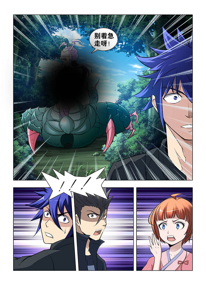 5.jpg