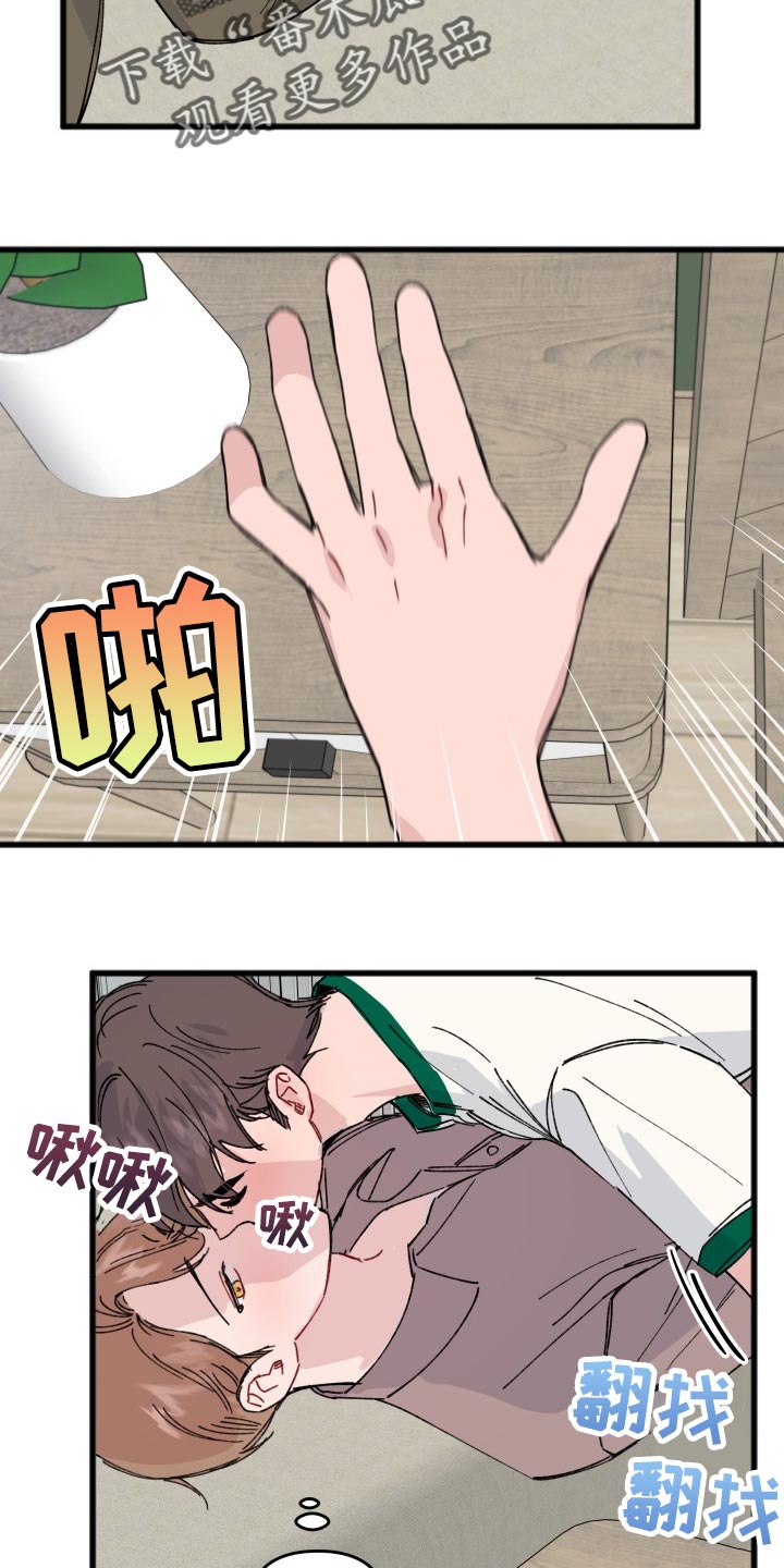 11.jpg