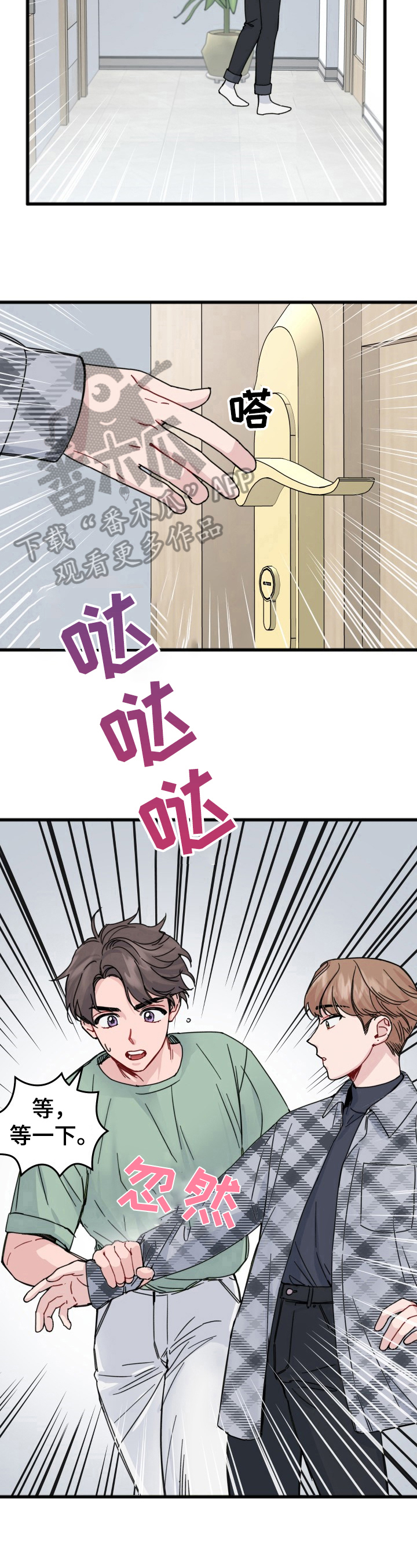 5.jpg