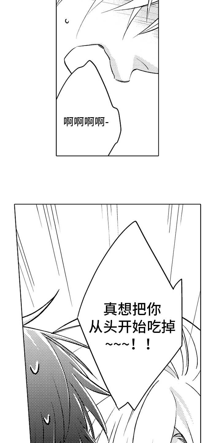 15.jpg