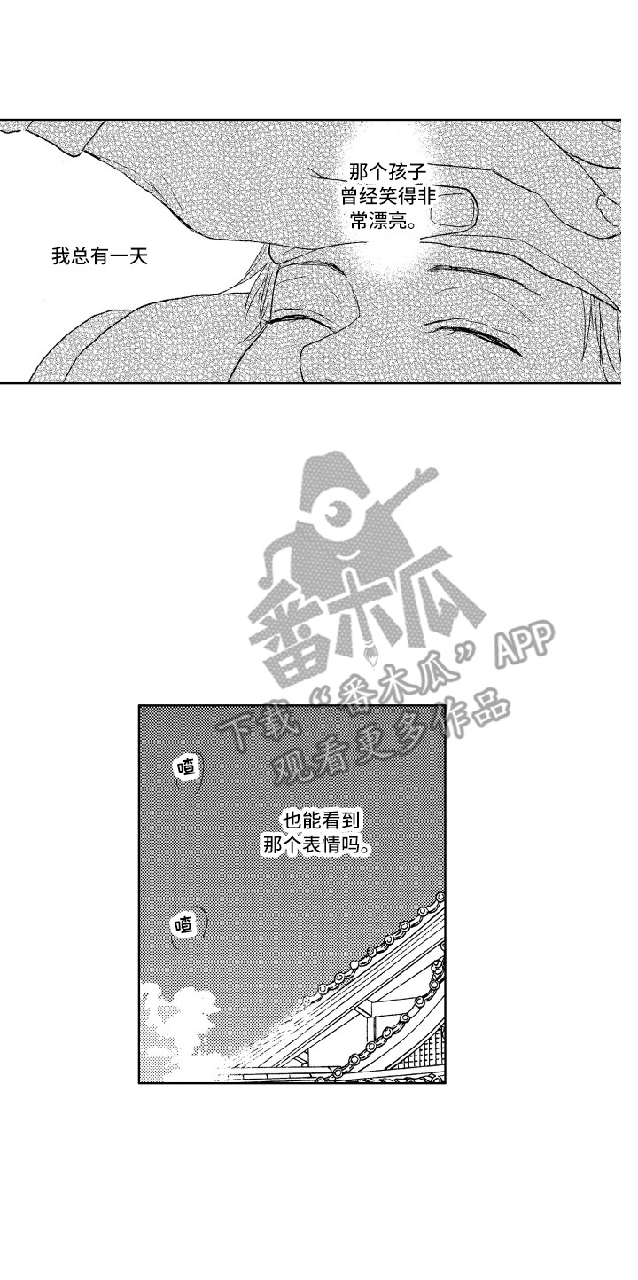 16.jpg