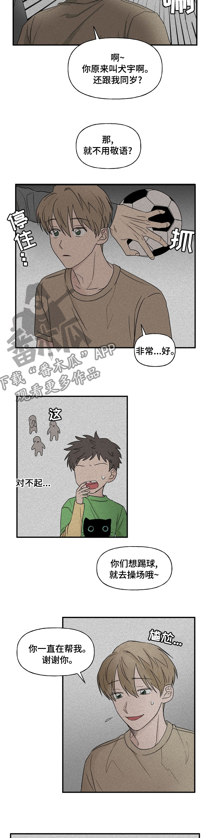 4.jpg