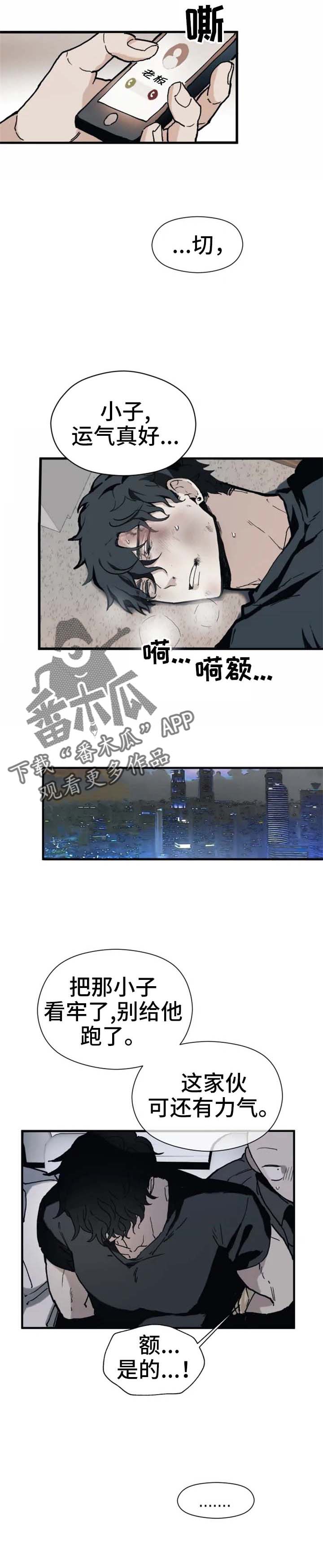 15.jpg