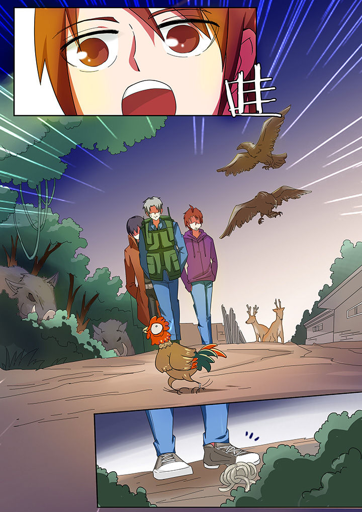 4.jpg