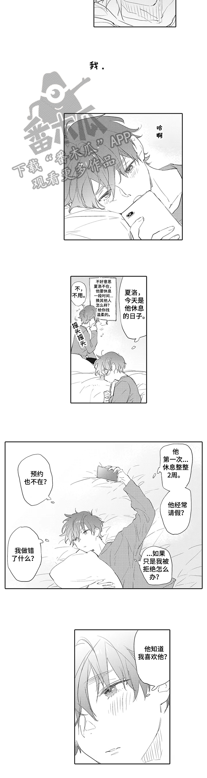 5.jpg