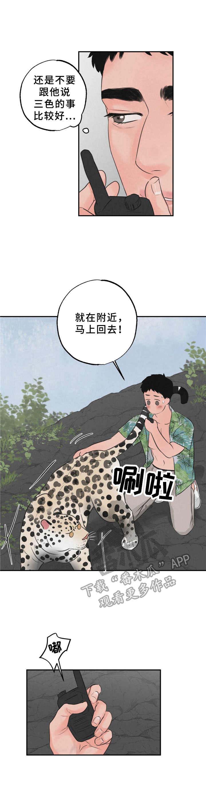 8.jpg