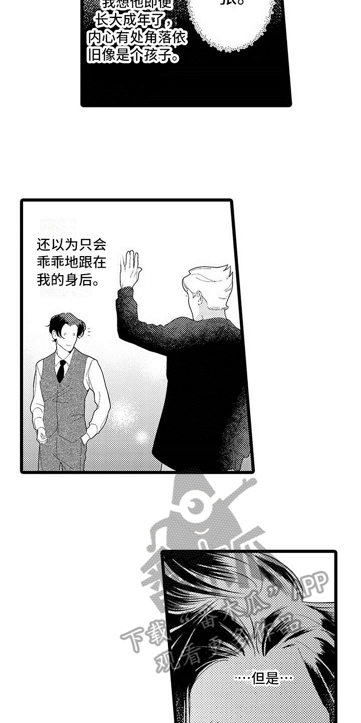 11.jpg