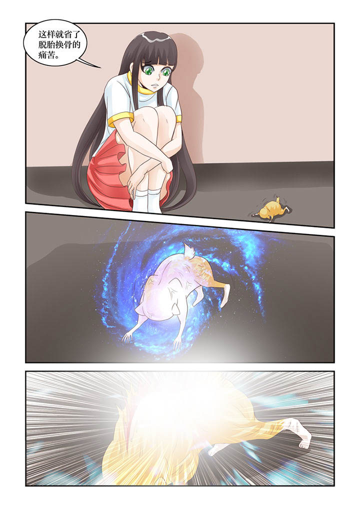 13.jpg