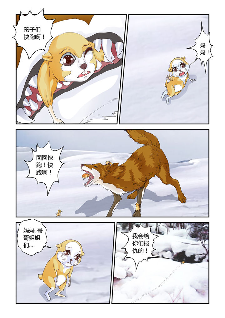 3.jpg
