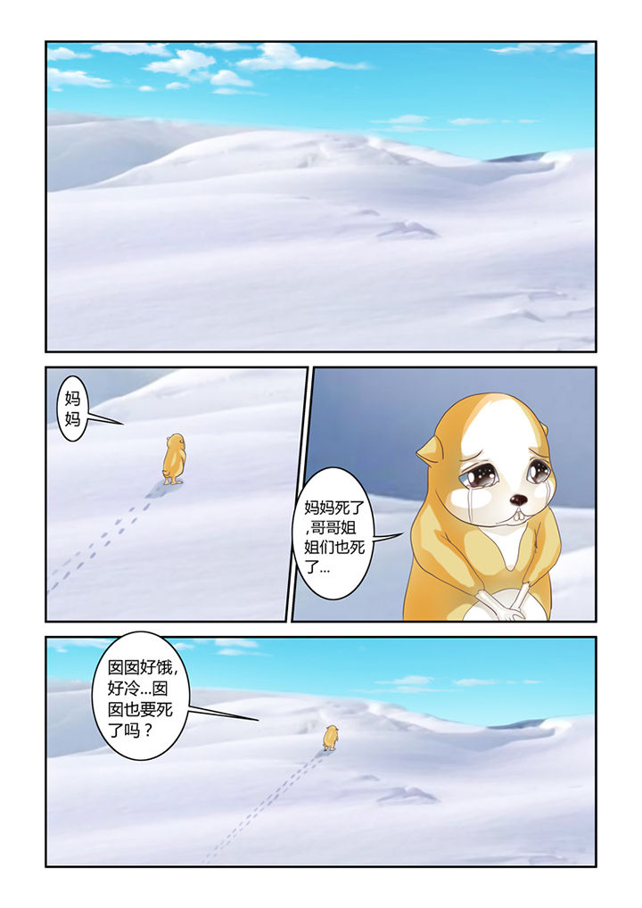 4.jpg