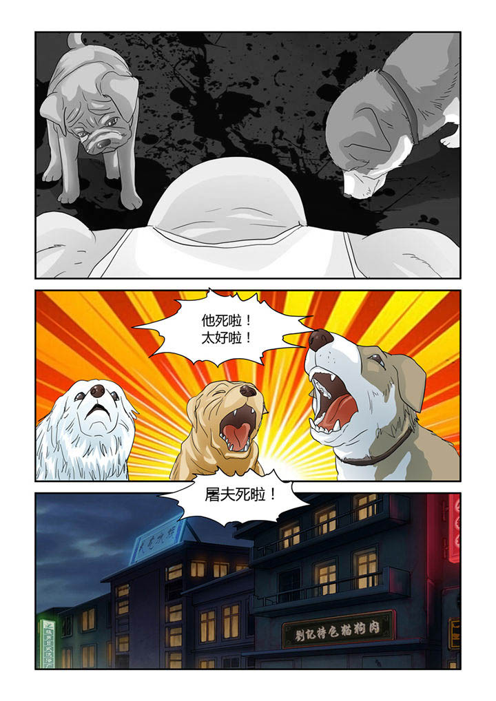13.jpg