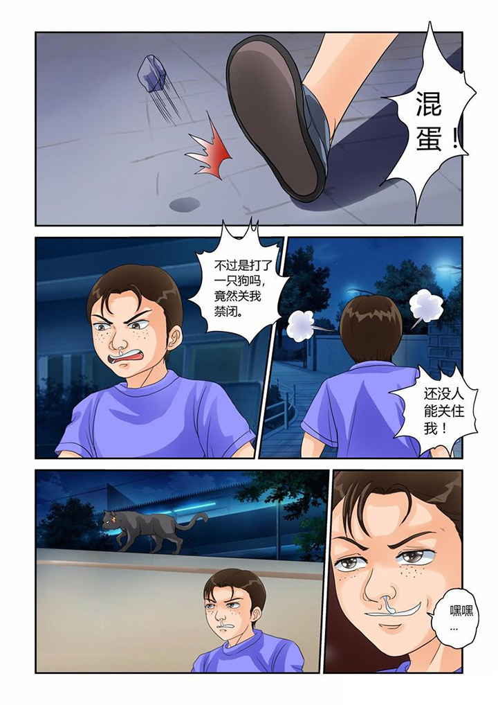 7.jpg