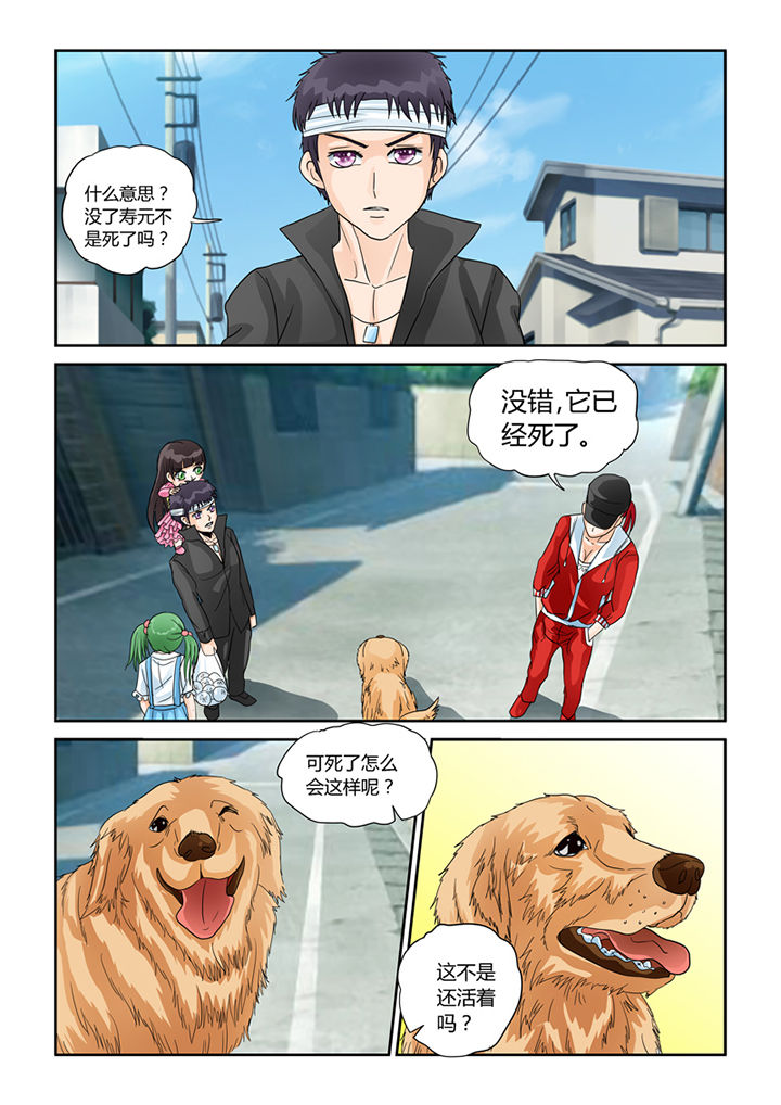 4.jpg