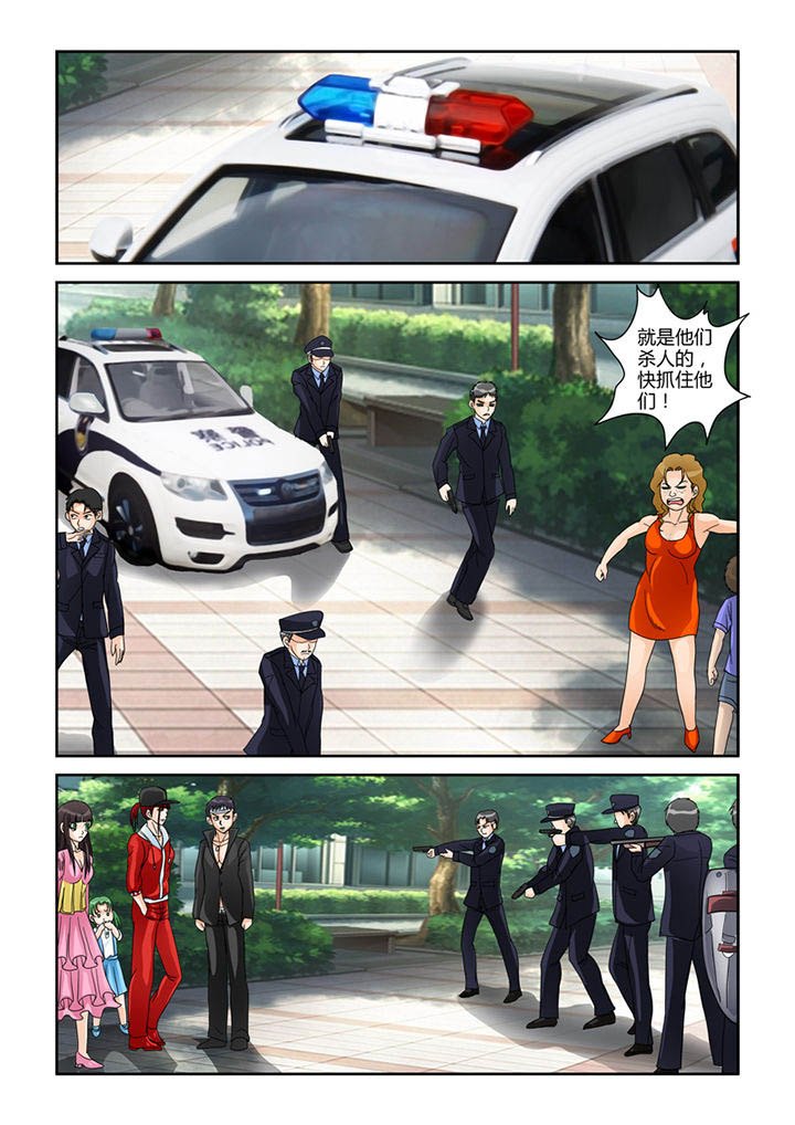 8.jpg