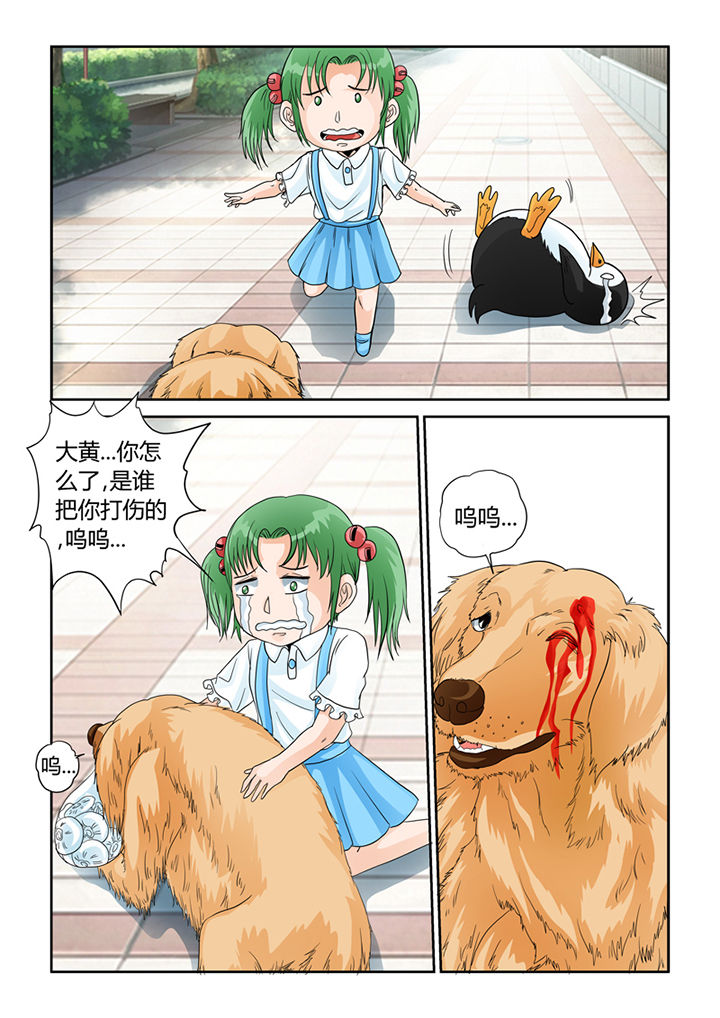 9.jpg