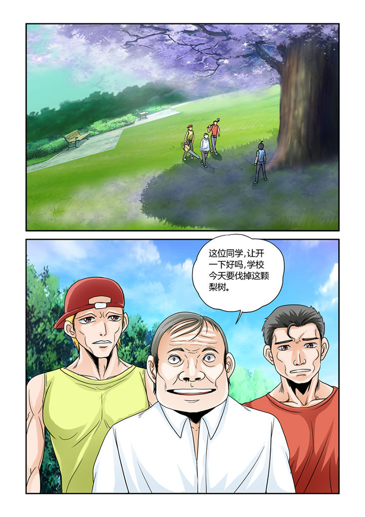 11.jpg