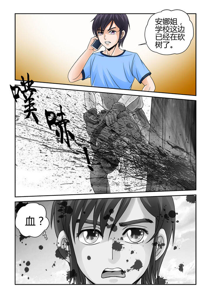 15.jpg
