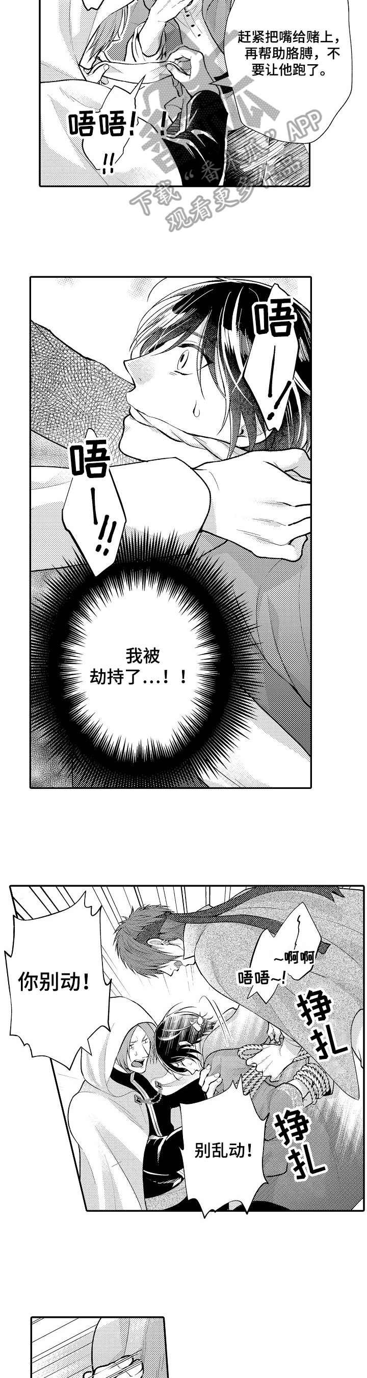 5.jpg