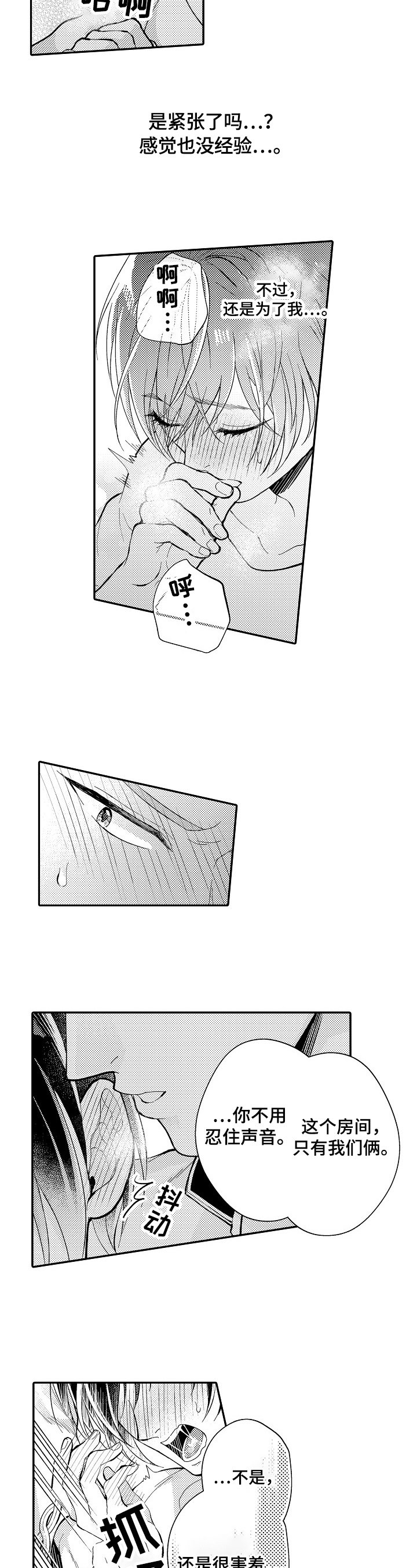 4.jpg