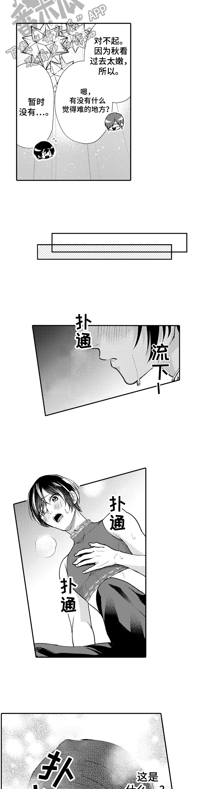 6.jpg