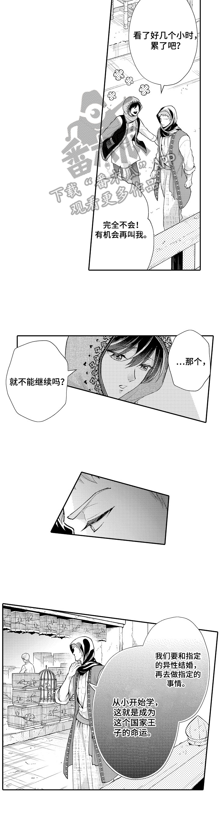 7.jpg