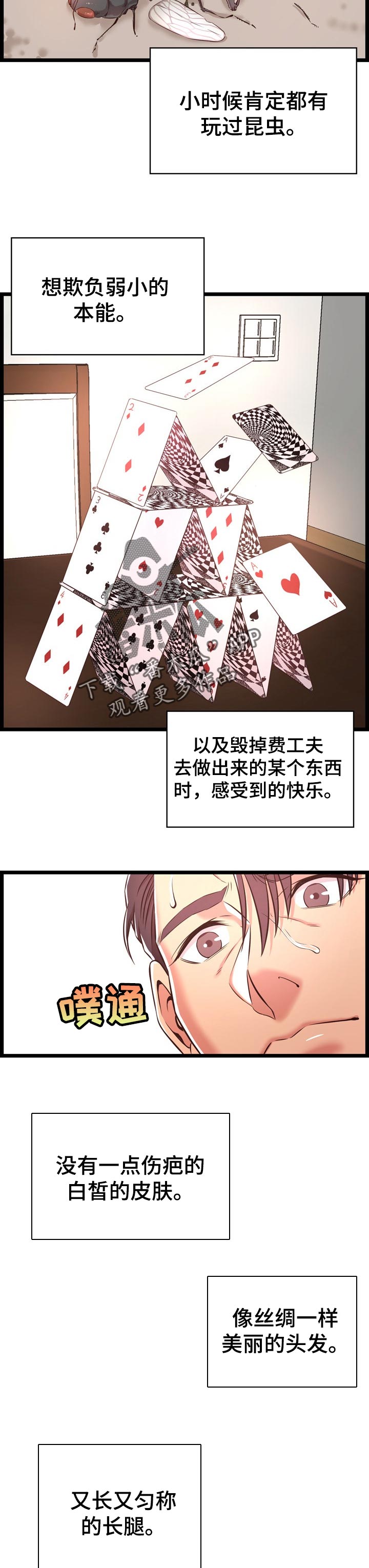 5.jpg