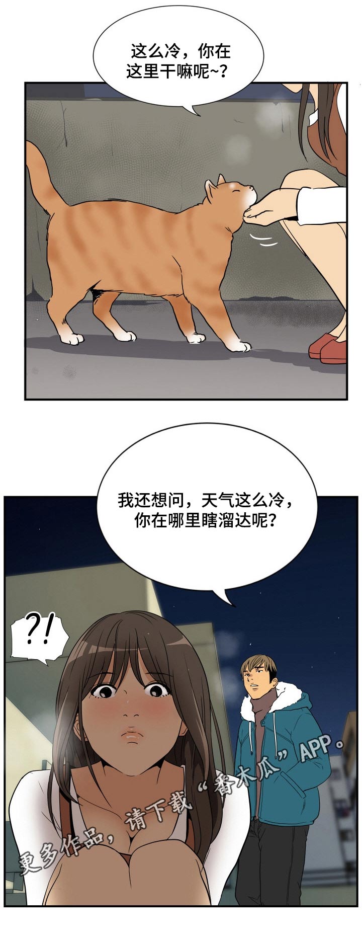 11.jpg