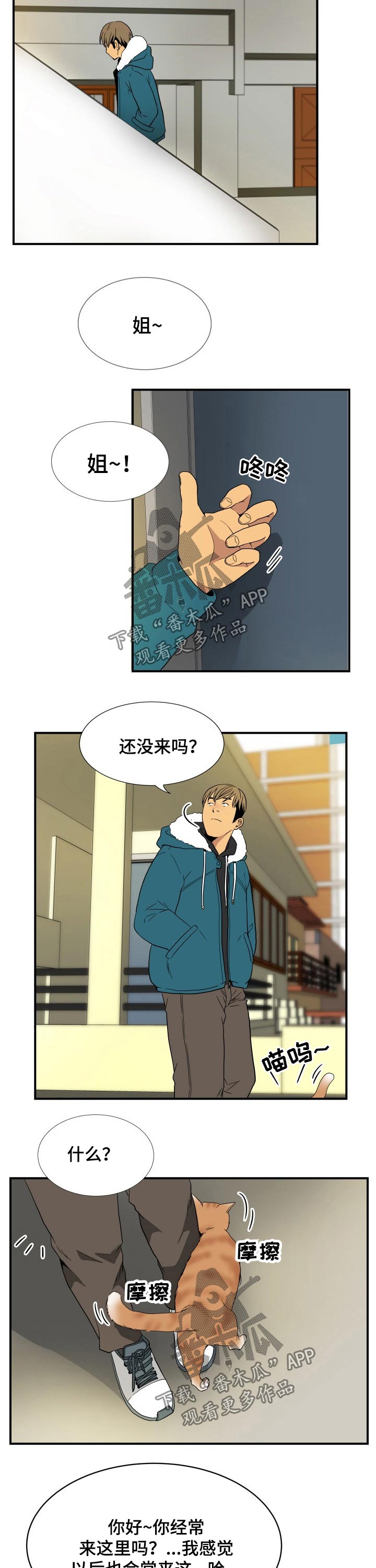 5.jpg