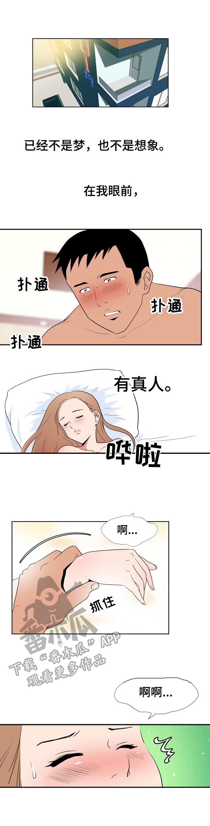 11.jpg