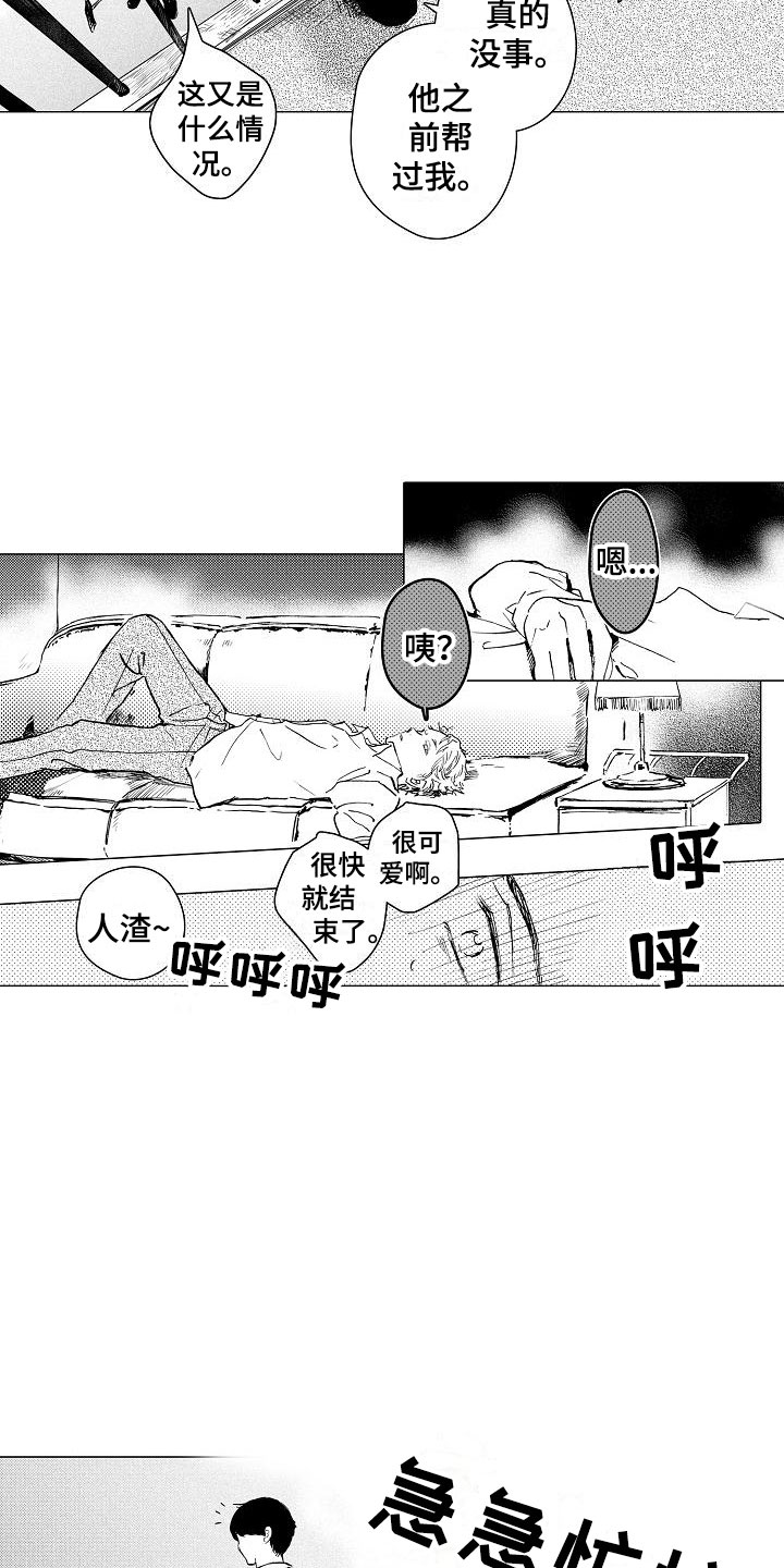 11.jpg