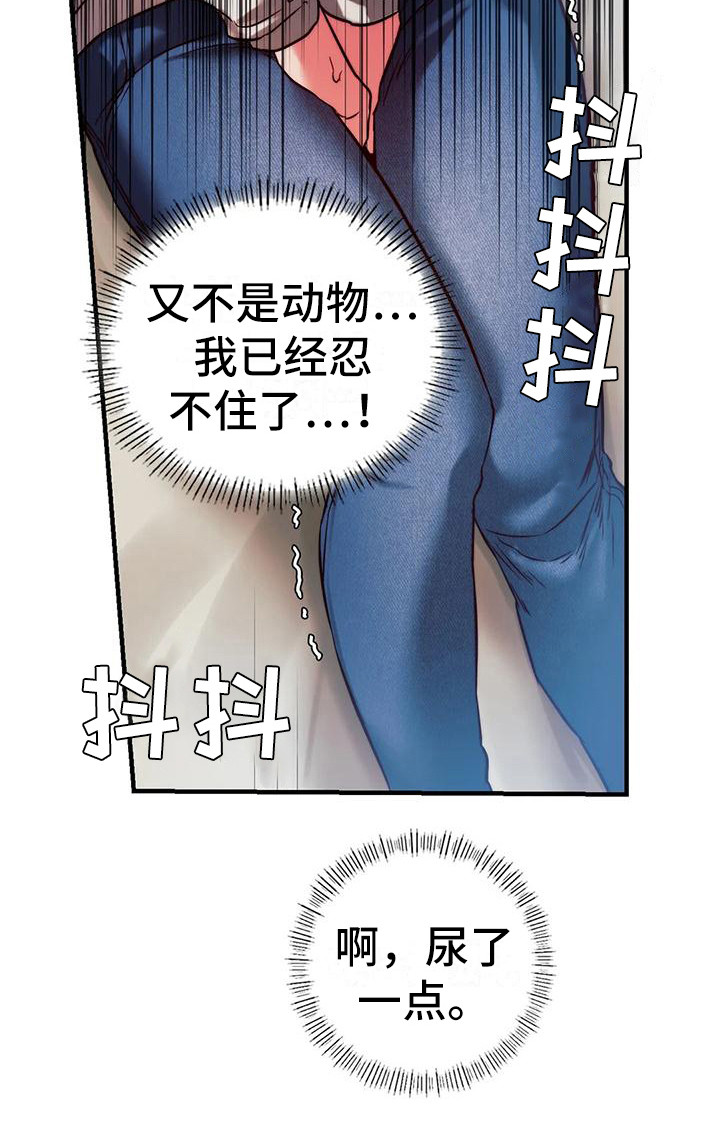 15.jpg