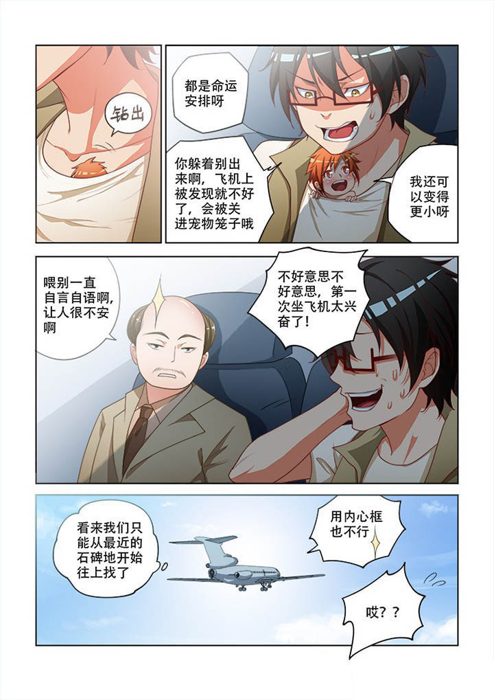 5.jpg