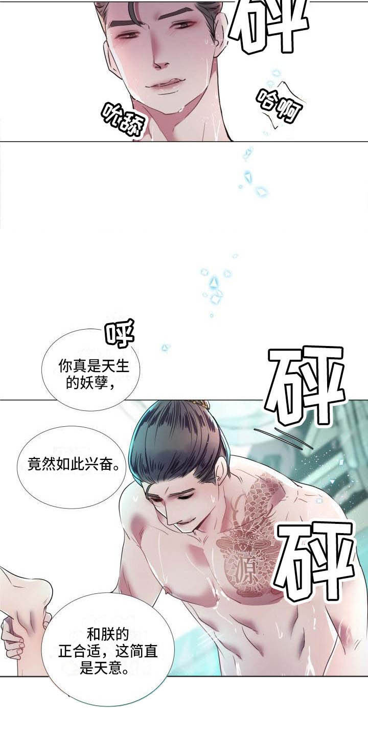 15.jpg
