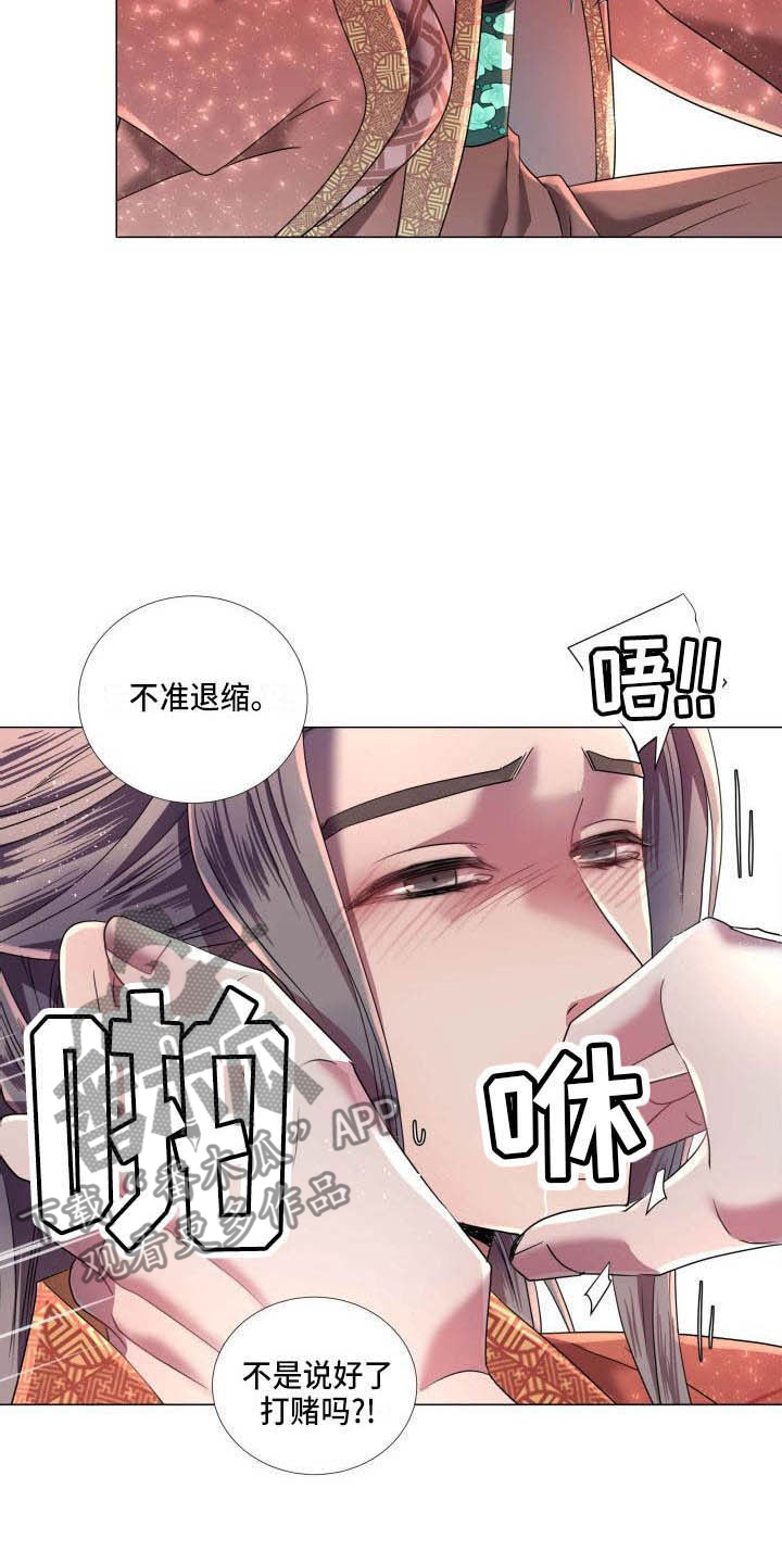 17.jpg