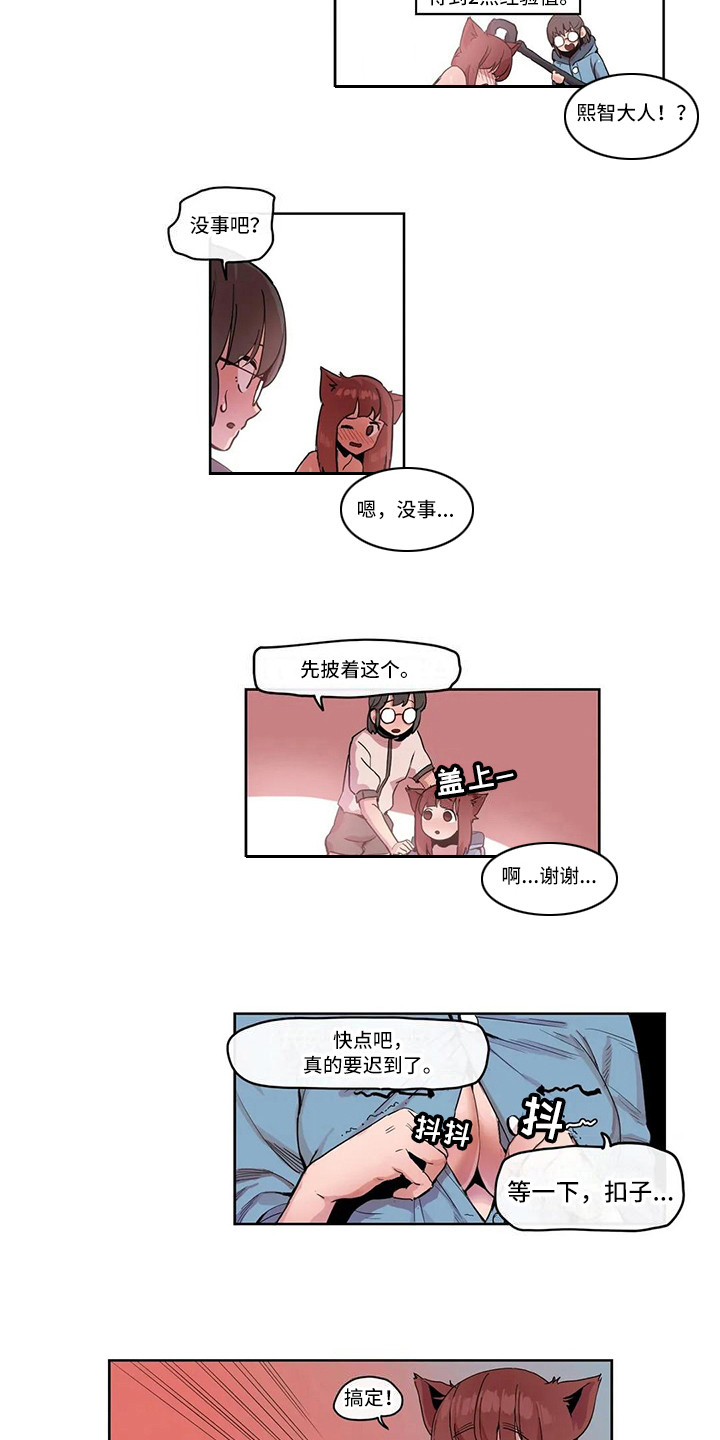 11.jpg
