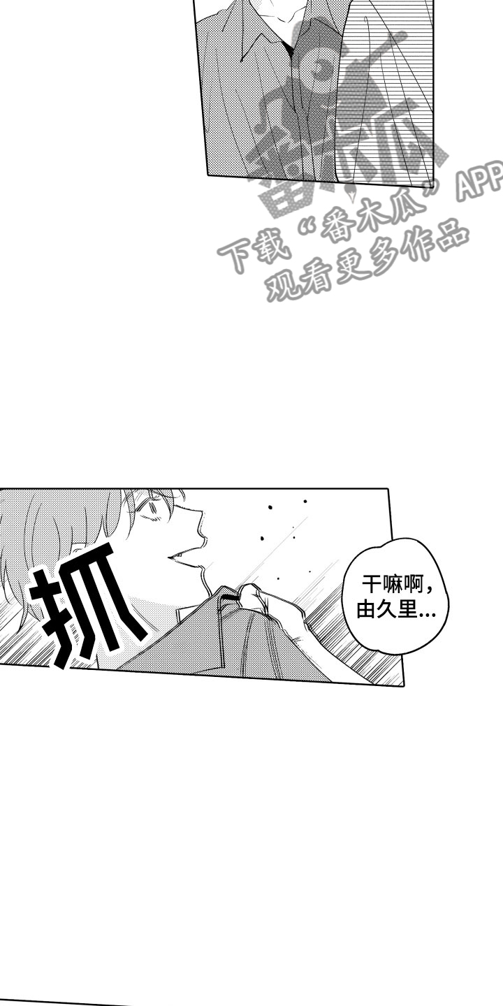 11.jpg