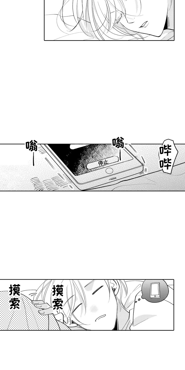 12.jpg